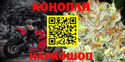 PSILOCYBIN Гусь-Хрустальный